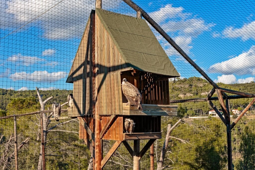 Монастырь Сан Мигель дель Фай и шоу хищных птиц