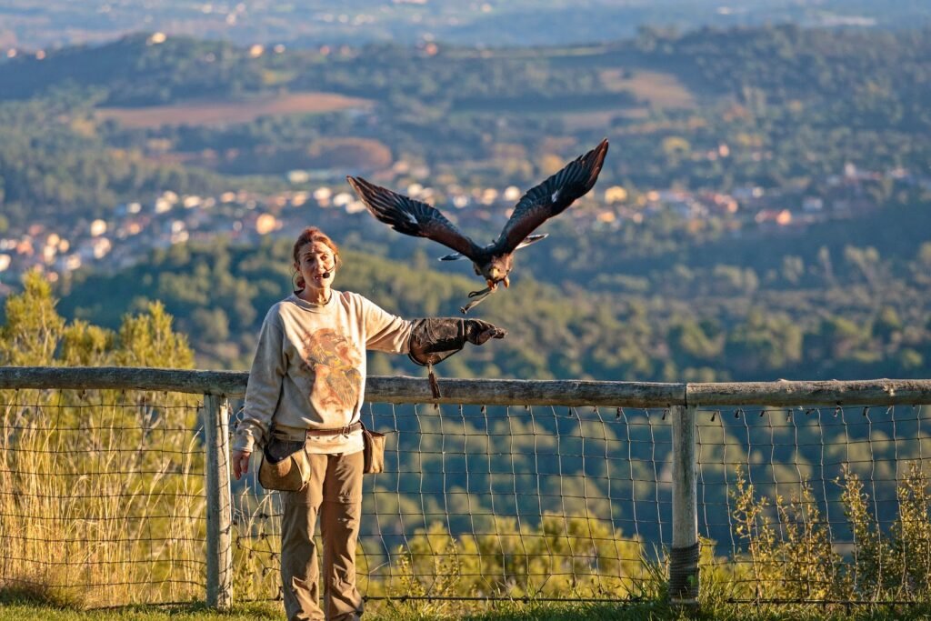 Монастырь Сан Мигель дель Фай и шоу хищных птиц