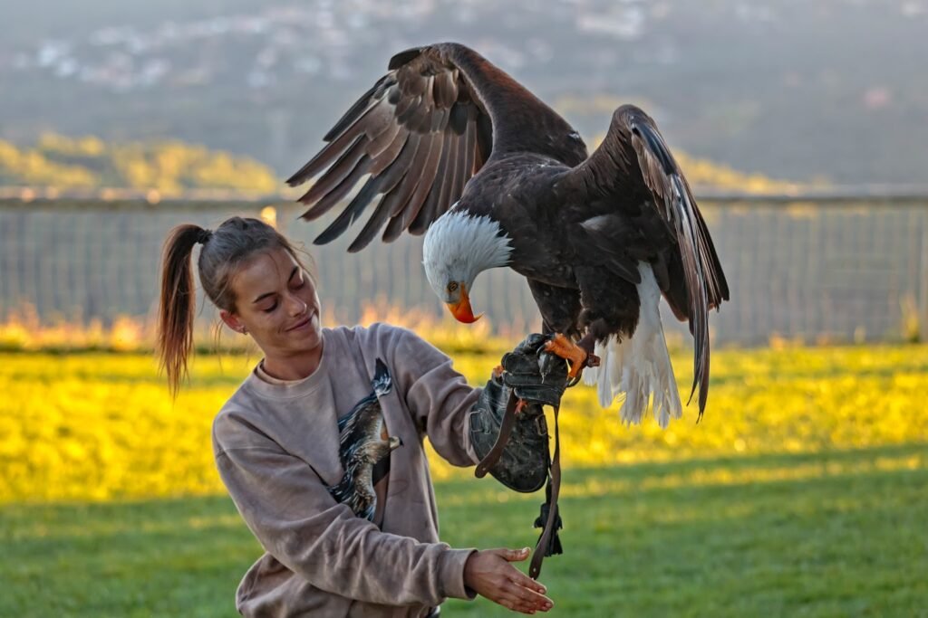 Монастырь Сан Мигель дель Фай и шоу хищных птиц