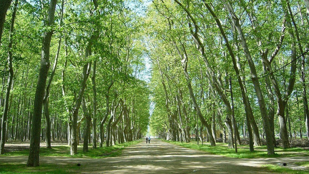 Жирона - парк Девеса. Так как древний город богат многовековой культурой и историей, пёстро окрашенной легендами и мифами, Жирону часто называют «городом тысячи легенд».