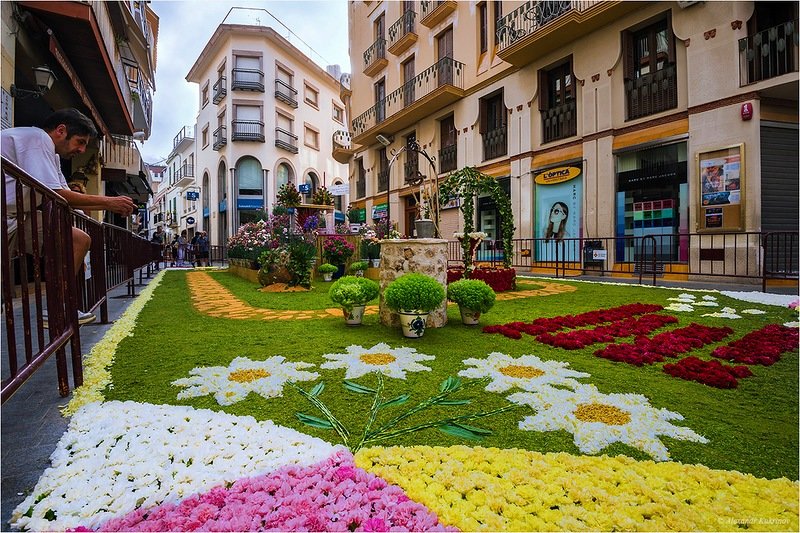 Ситжес и винные погреба Торрес