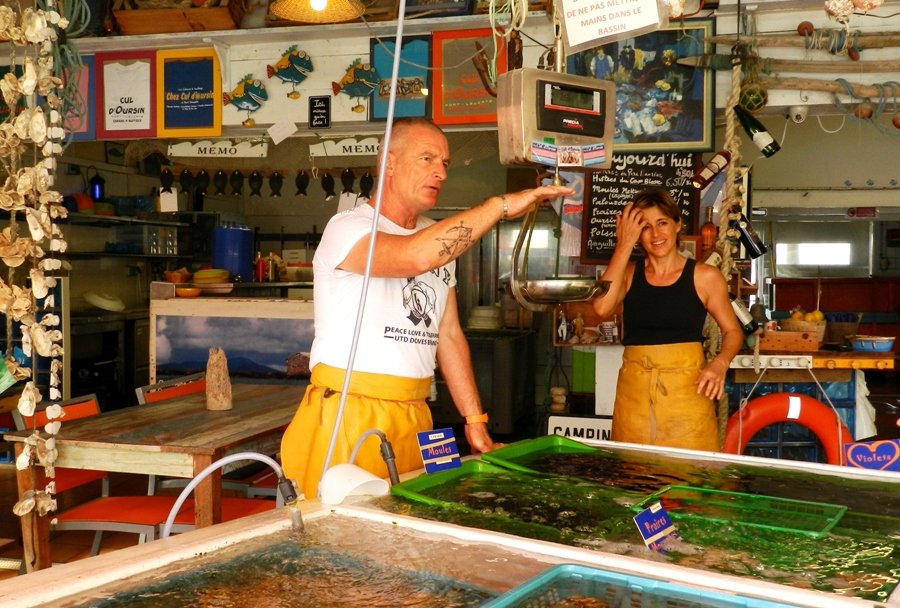 Каркассон - устричная ферма Лёкат